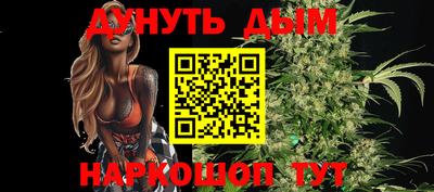 мдпв Кингисепп