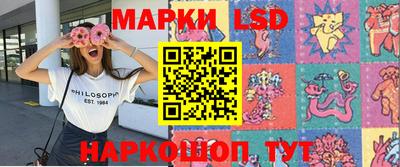 mdpv Камышлов