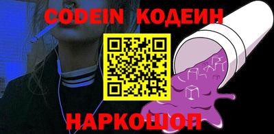 мдпв Кингисепп