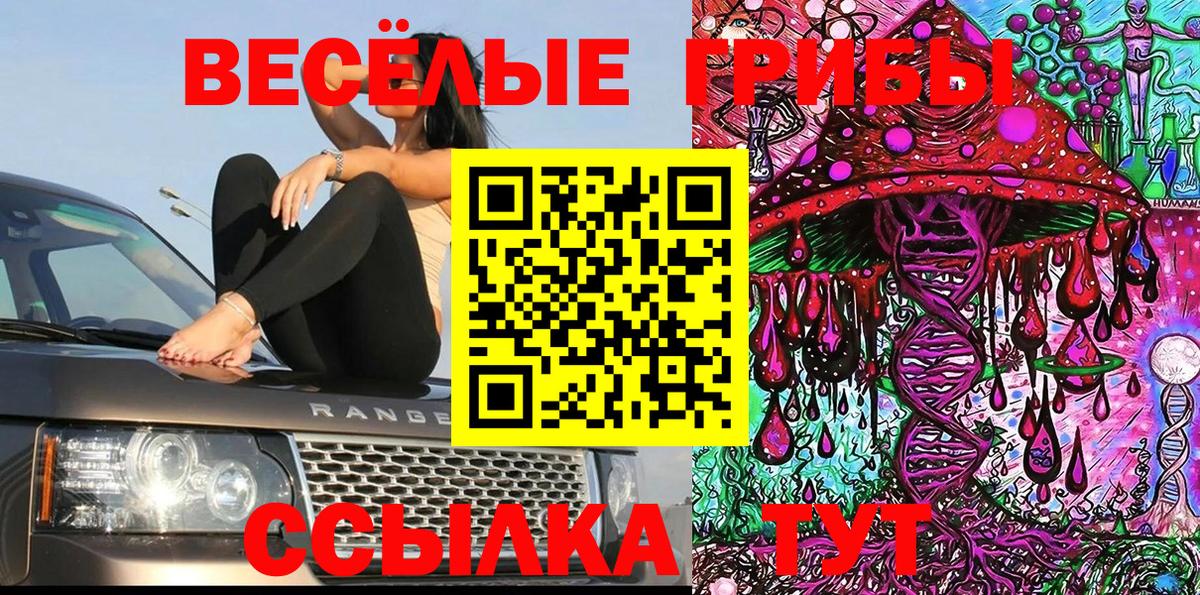 Галлюциногенные грибы ЛСД Кузнецк