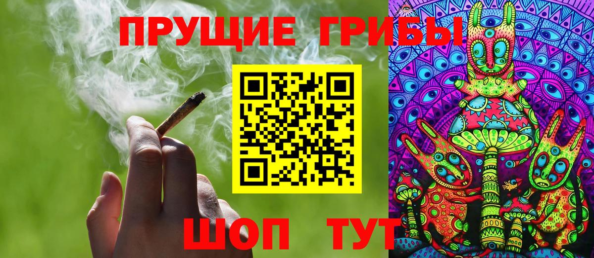 Кузнецк  как найти   Вход с VPN  Галлюциногенные грибы Psilocybe 